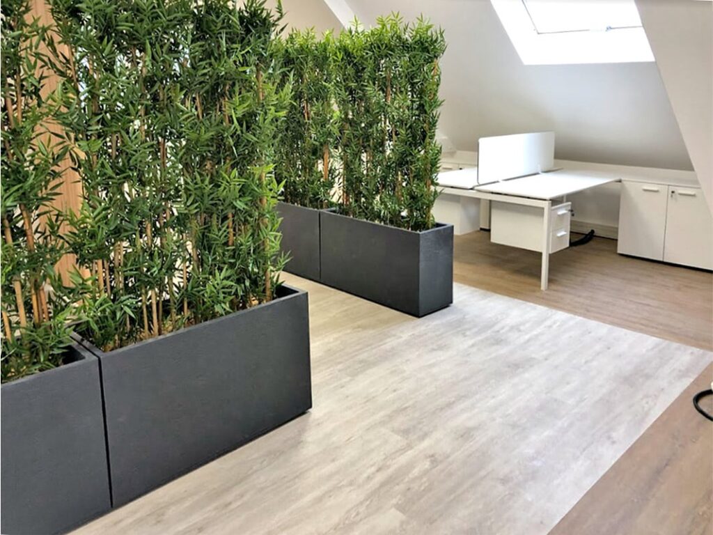 Espace de bureau moderne avec des bureaux blancs, un sol en bois, de grandes jardinières avec de grandes plantes vertes, et la lumière naturelle d'un puits de lumière.