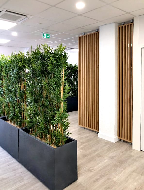 Couloir de bureau avec un sol en bois clair, un plafond moderne et de grandes plantes vertes dans des bacs rectangulaires noirs le long des murs blancs et des séparations en lattes de bois.