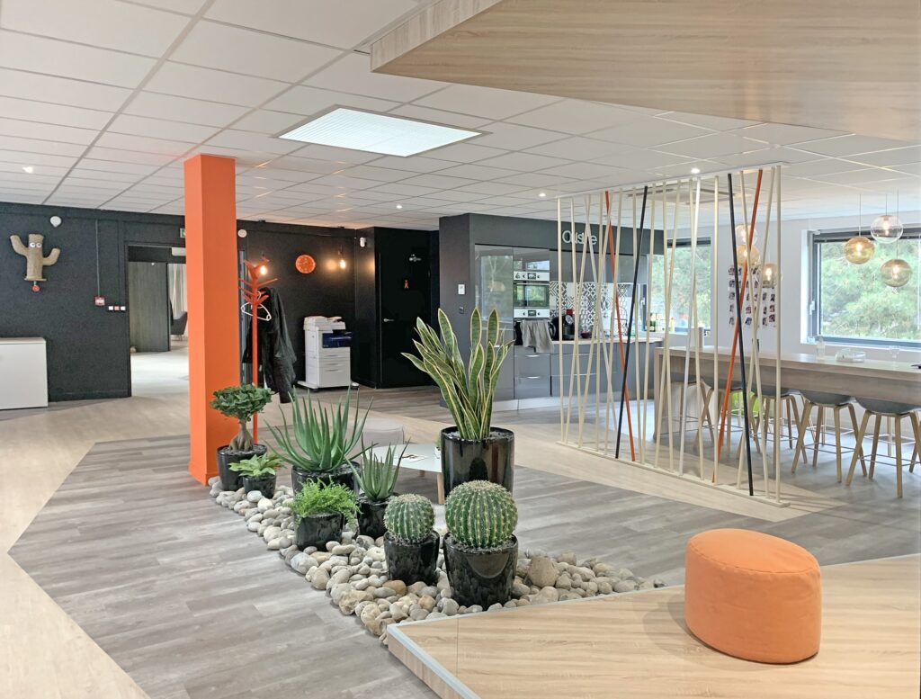 Bureau moderne avec des cactus et des plantes grasses en pot sur un lit de pierres, des meubles en bois, une colonne orange et la lumière naturelle des grandes fenêtres.