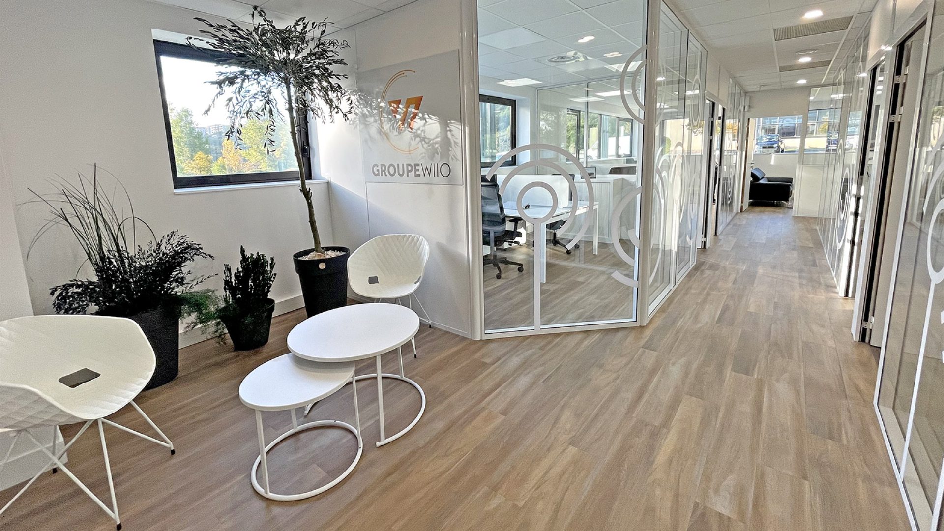 Hall de bureau moderne avec salles de réunion vitrées, chaises et tables blanches, plantes d'intérieur et sol en bois. La lumière naturelle pénètre par de grandes fenêtres.