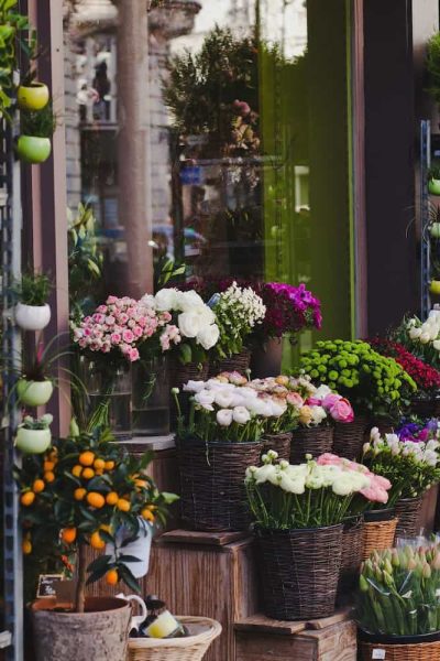 Extérieur d'un magasin de fleurs avec une variété de plantes en pot et de fleurs colorées disposées sur des étagères et dans des paniers le long du trottoir.