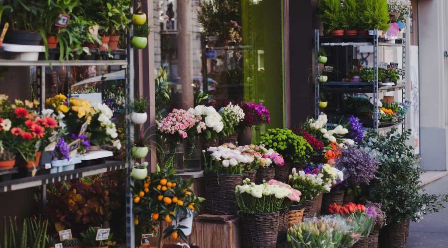 Extérieur d'un magasin de fleurs avec une variété de plantes en pot et de fleurs colorées disposées sur des étagères et dans des paniers le long du trottoir.