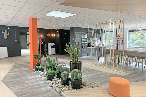 Bureau moderne avec des cactus et des plantes grasses en pot sur un lit de pierres, des meubles en bois, une colonne orange et la lumière naturelle des grandes fenêtres.